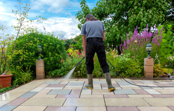 Best Animal Enclosure Cleaning  in Englewood Cliffs, NJ